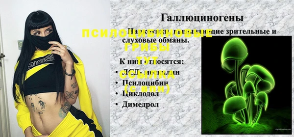 стафф Абдулино