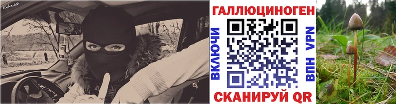 купить наркотики цена  Юхнов  Галлюциногенные грибы мицелий 