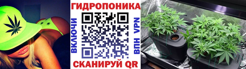 Канабис ГИДРОПОН  Юхнов 